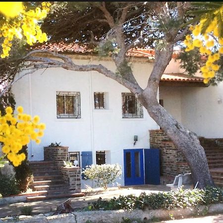 Villa Bleue - Les Pins ポール・ヴァンドル エクステリア 写真