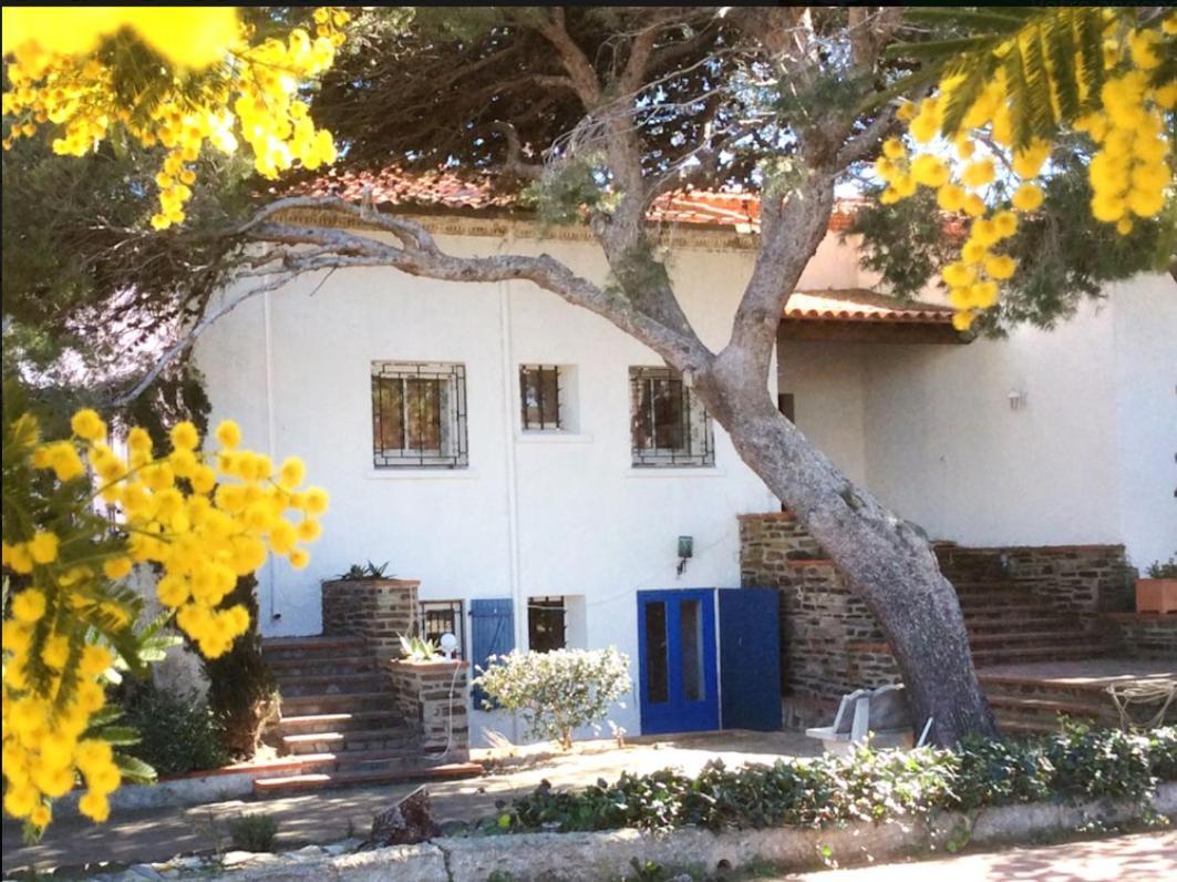 Villa Bleue - Les Pins ポール・ヴァンドル エクステリア 写真