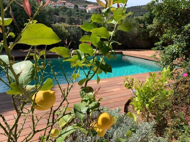 Villa Bleue - Les Pins ポール・ヴァンドル エクステリア 写真